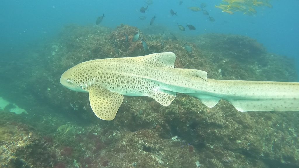 5f37f3d3-56c4-4c50-b173-ef9971ec4262