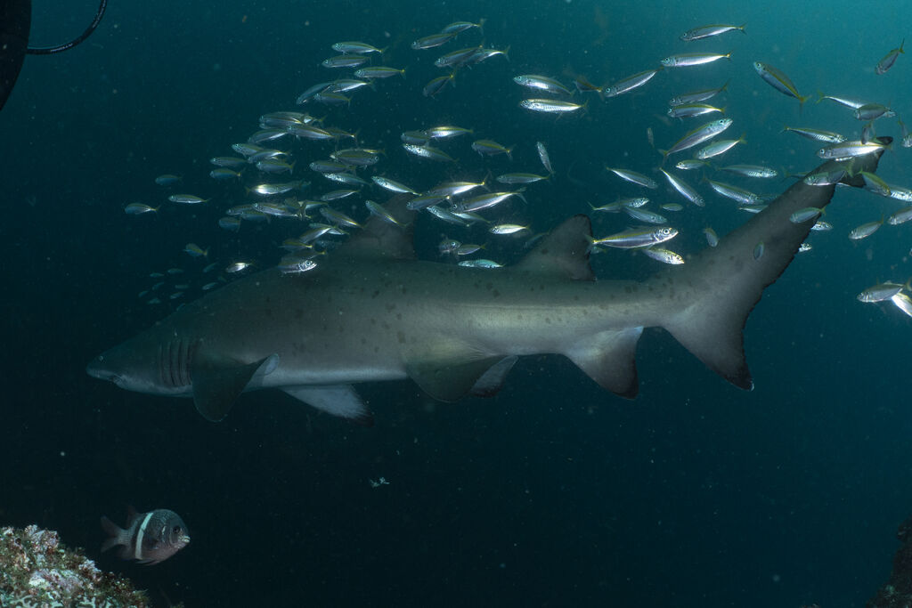 db2bb77a-1d10-41ad-ba06-79e49045cbe5