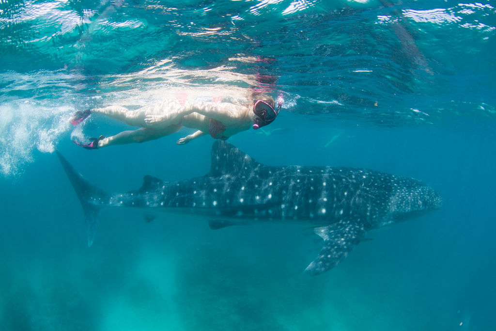 72aff6ab-e983-4086-a2fe-27e81d4364a8