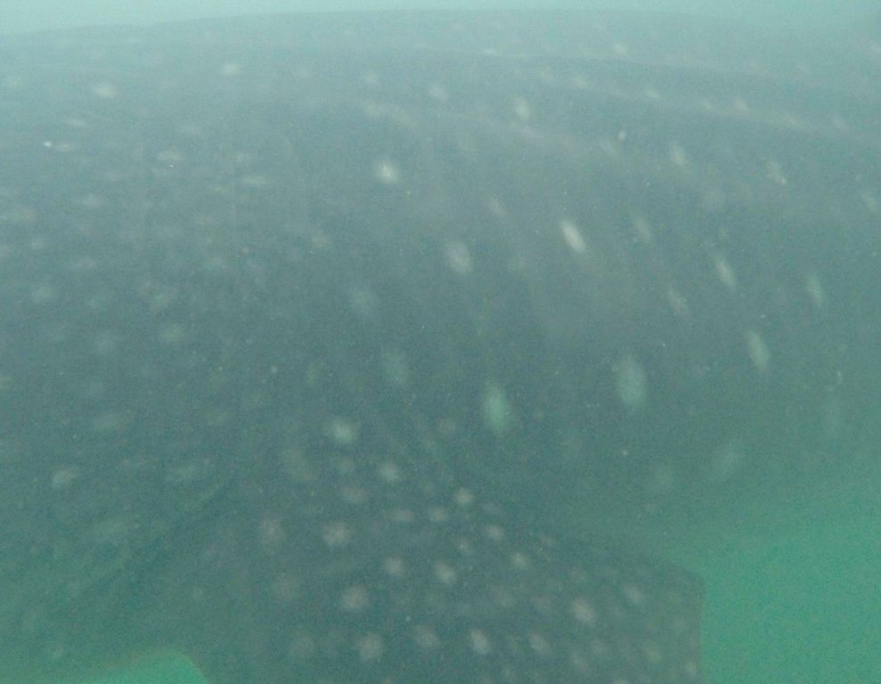 b611d02f-f670-4cca-a5a3-f650a6127e18