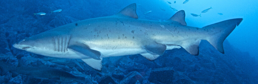 64de8ebf-c500-4ab7-8c53-c4881a08588b