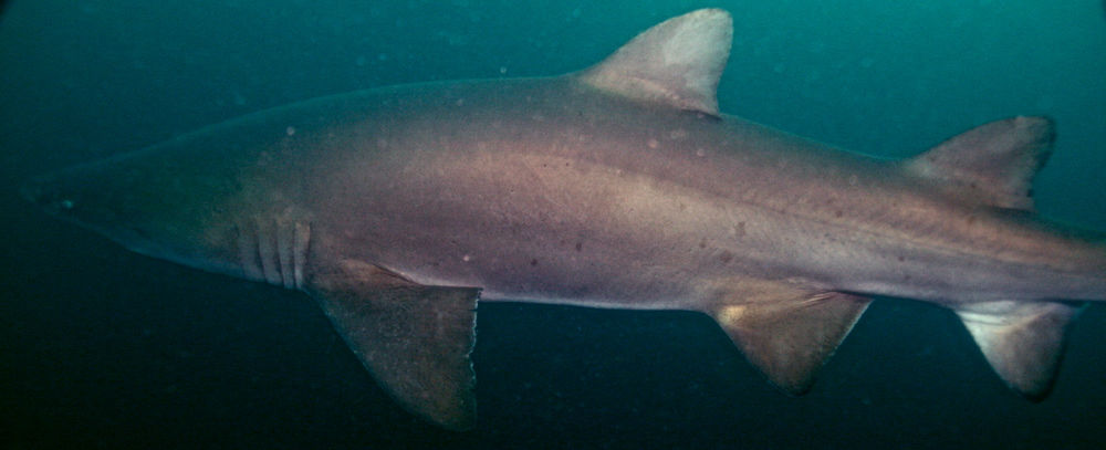 d6c23ff9-77f5-4a03-af3f-bb16db13dbad