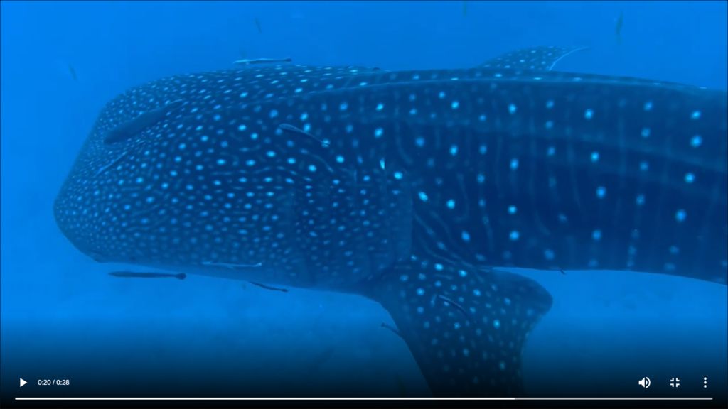 be18f5a1-c83d-422e-b4d1-43e71a157fd0