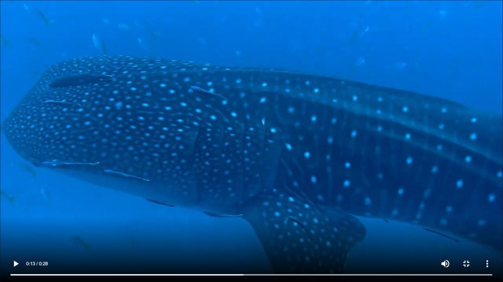 be18f5a1-c83d-422e-b4d1-43e71a157fd0