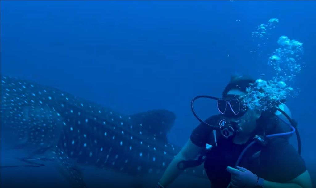 be18f5a1-c83d-422e-b4d1-43e71a157fd0