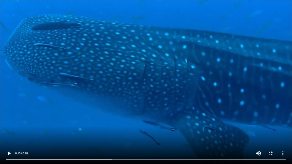 be18f5a1-c83d-422e-b4d1-43e71a157fd0