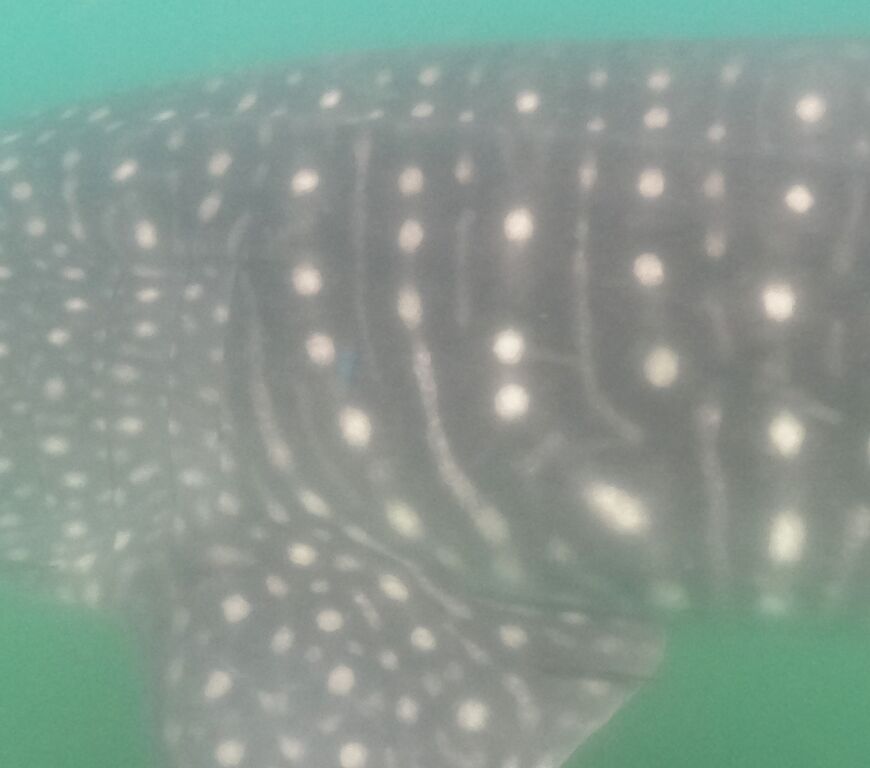 3aff696f-cc27-4b5a-8275-5aee5ca162dd