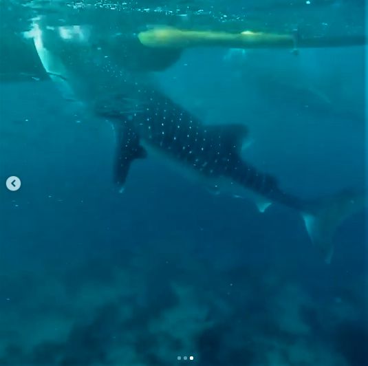 6095372a-9bd4-4360-aee9-5e4559b1727b