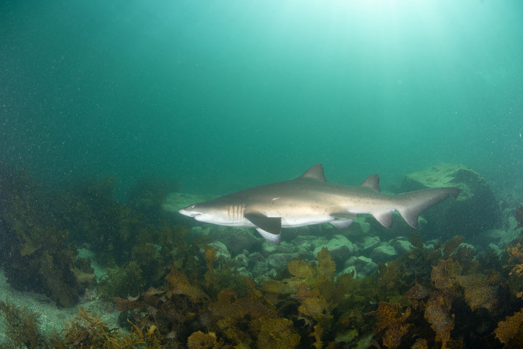 353a39e1-1eee-4f0b-9948-910feaa97284