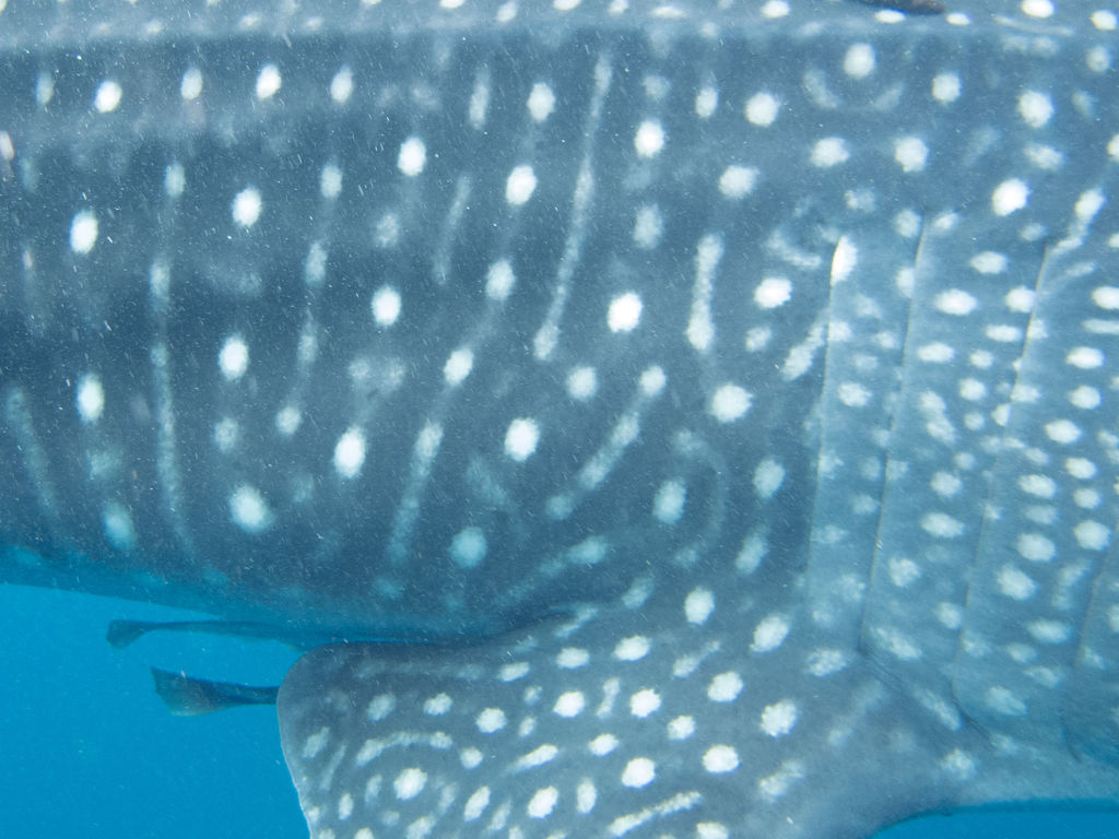 f0443a09-bfe0-4fee-9cfd-b9661eb88360