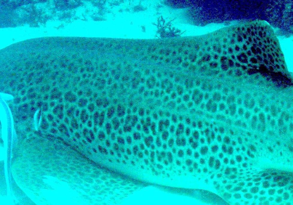 6945b405-43e8-41eb-97c0-91f3beea7abf