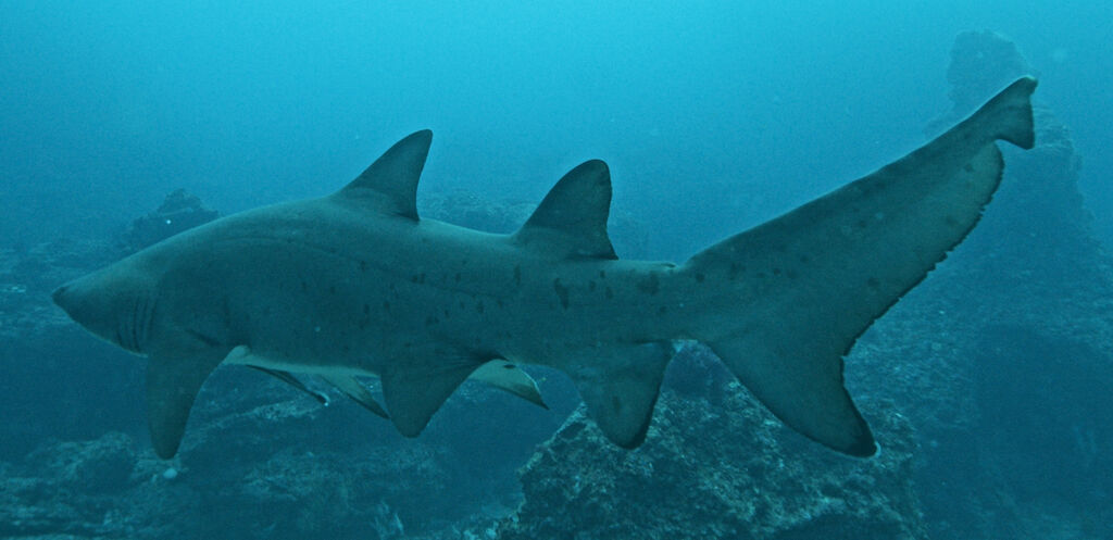 efd215b6-69fb-4d2a-b307-54d47c82d4ac