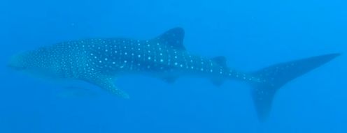 5579fb3c-f5bc-4f87-b65b-a221fbf379f7