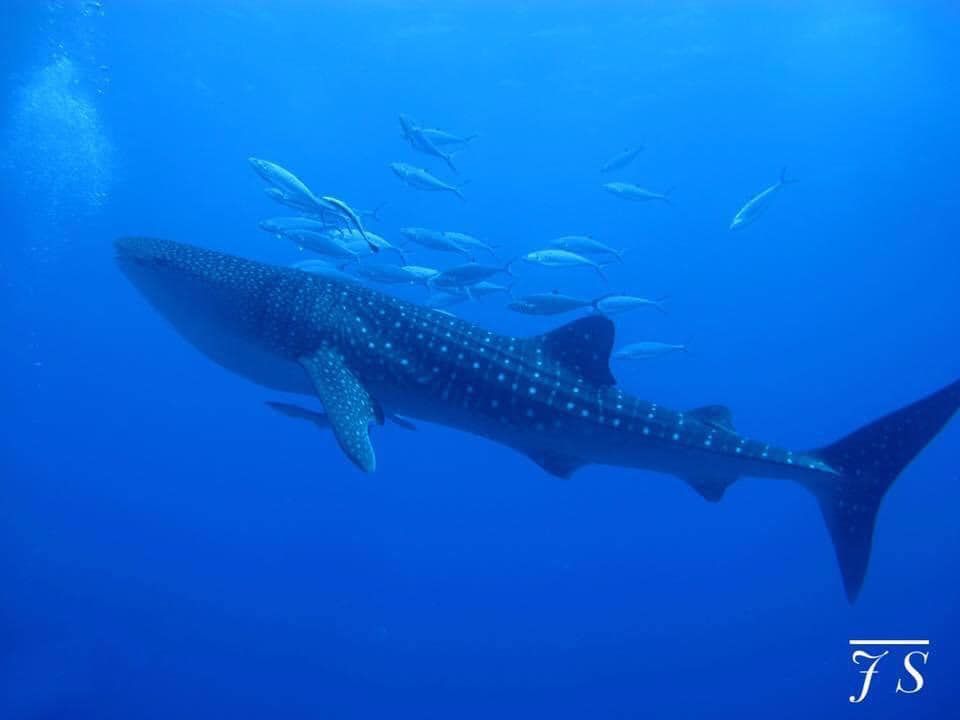 5579fb3c-f5bc-4f87-b65b-a221fbf379f7