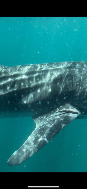 254de3b6-b588-4059-83e8-911dfb540c0b