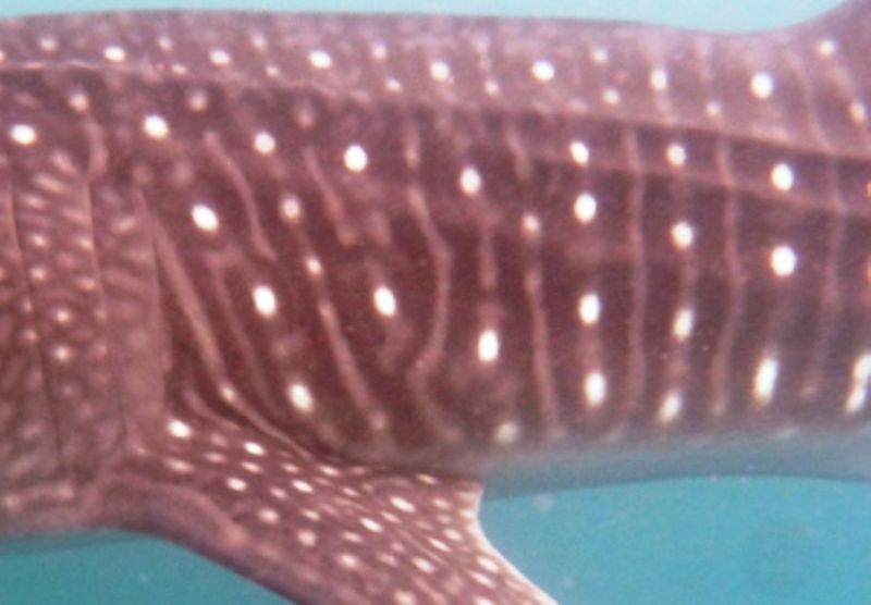 8598669b-b827-4aba-a8cb-593ebcbe19dd