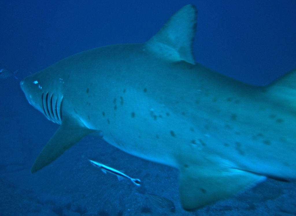 d3af1867-5644-468d-8997-a91cb29a785b