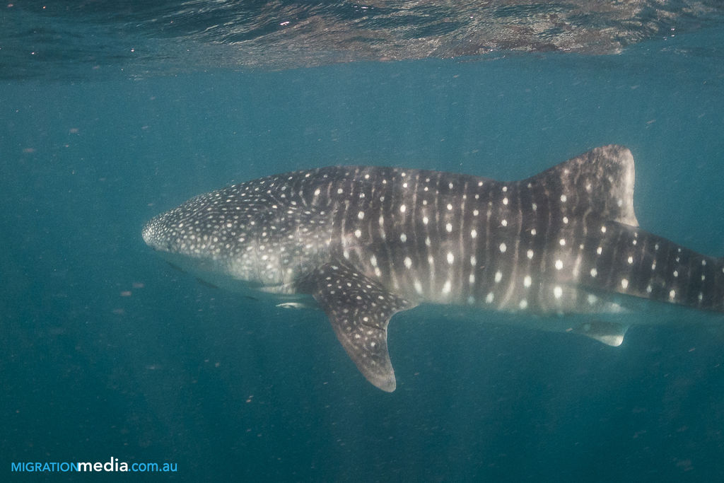 8cd883ff-a04b-4a90-bd3f-03f2d352ddae