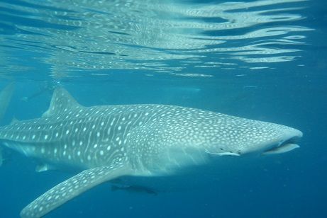 882ae398-6ea5-4705-b4f7-d7a0415df740