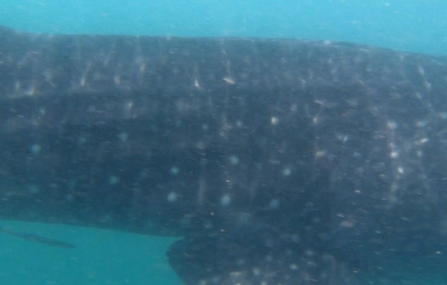 4c2f169b-bc81-4481-a8a4-d74d961881b9