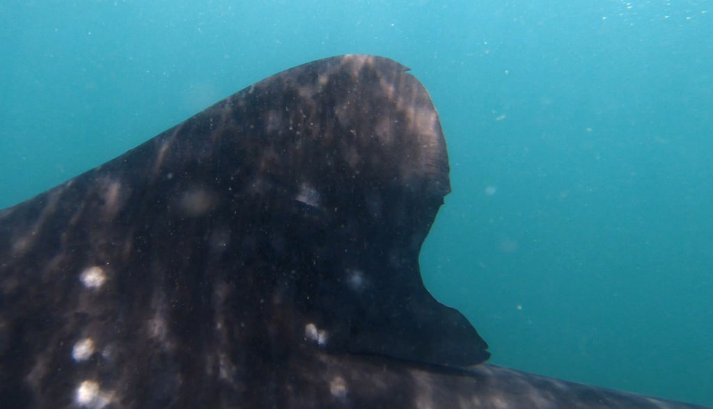 4c2f169b-bc81-4481-a8a4-d74d961881b9