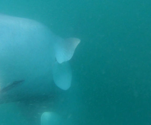 4c2f169b-bc81-4481-a8a4-d74d961881b9