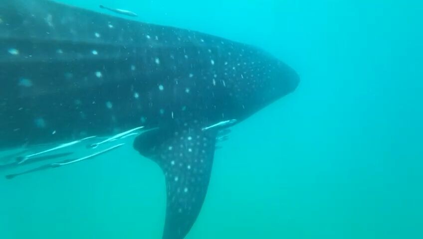 b2a6a114-95f5-417a-b511-50f3a3c9afdc