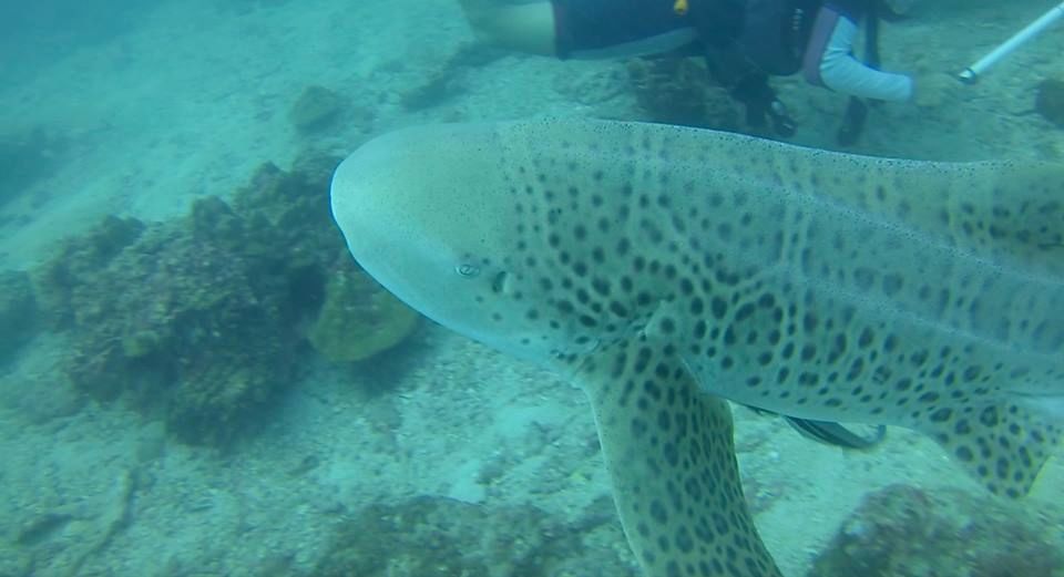 ca68d71b-7a21-4b66-bba8-b015d17513ae