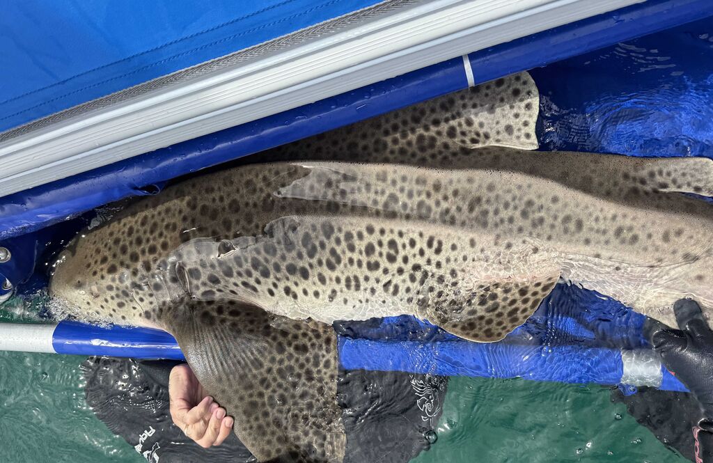 0442f561-53c5-465b-8e65-8130570800dc