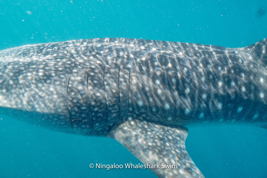 f5251cca-878e-4f02-9623-0484d6866968