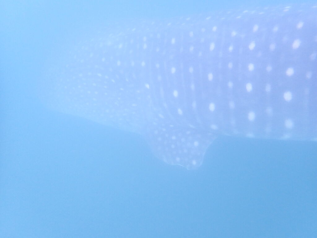 b516817b-2e69-4a8a-becc-e3a0583d14b0