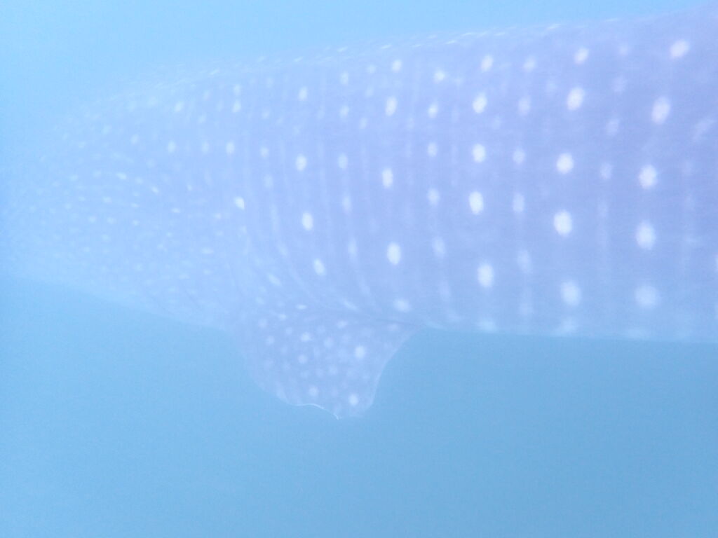 b516817b-2e69-4a8a-becc-e3a0583d14b0