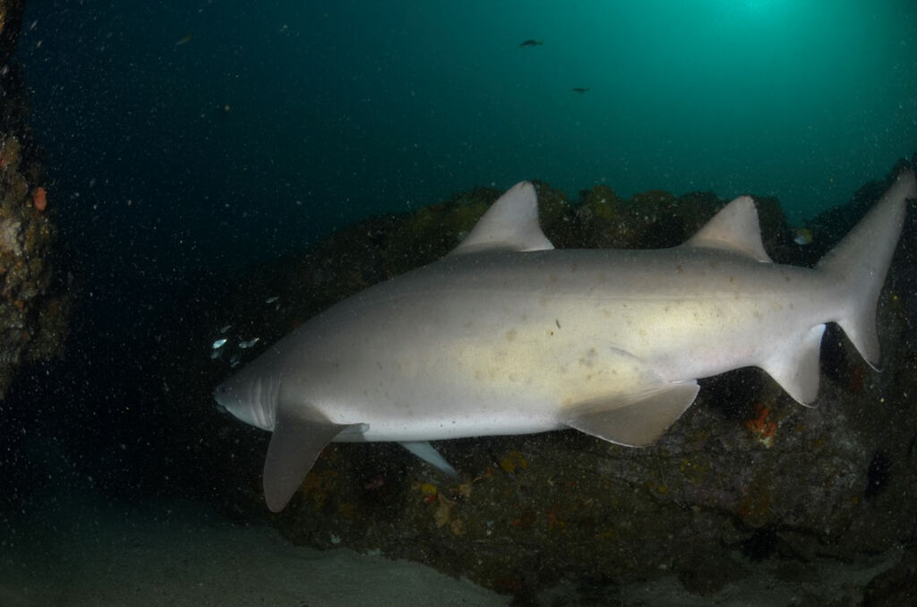 552c9249-ca0f-434b-8cdf-09a03cc93258