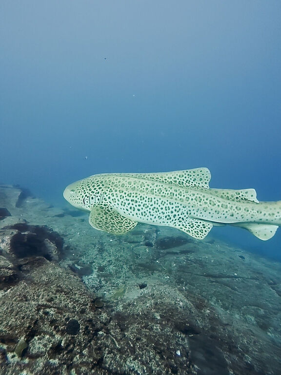 be2c2f44-b853-45d9-8800-406f11a001de