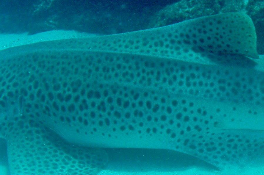 f1fb8ef6-7bec-4f46-a290-8131ddf6fec3