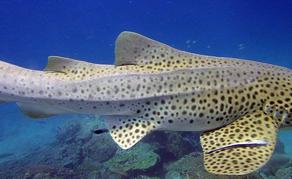 d59a091c-493d-4bcb-95ee-4b333a268e13