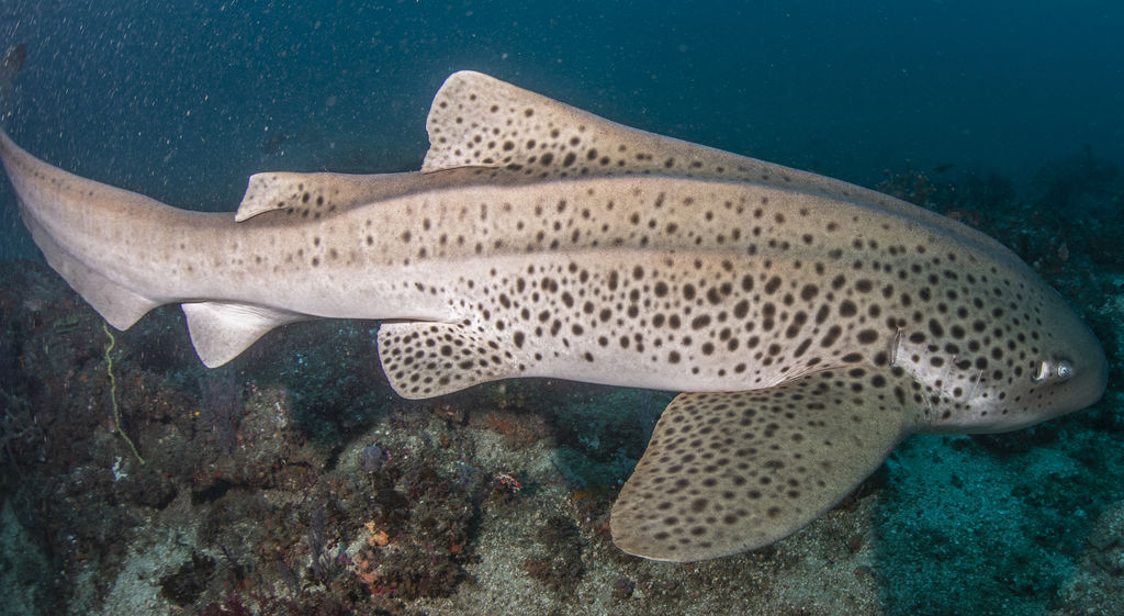 12e0df43-8ab1-4dca-9ad7-ef2d9ae49410