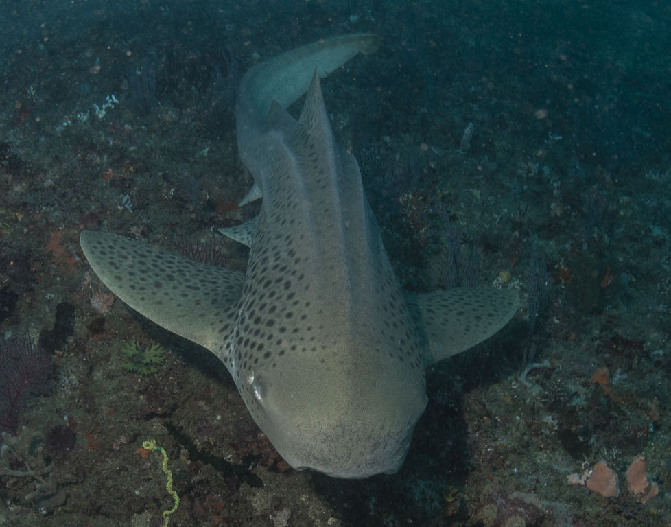 12e0df43-8ab1-4dca-9ad7-ef2d9ae49410