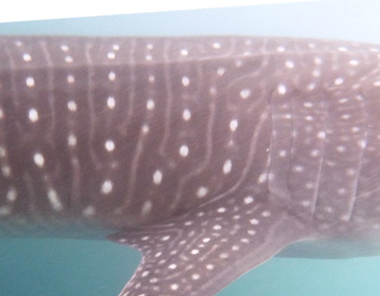 fb3968e3-1495-48a5-a8fc-fc1ac437a638