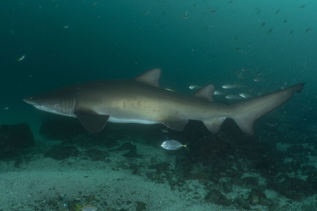 15d78db2-5ef9-4c3e-9023-1b981637b930