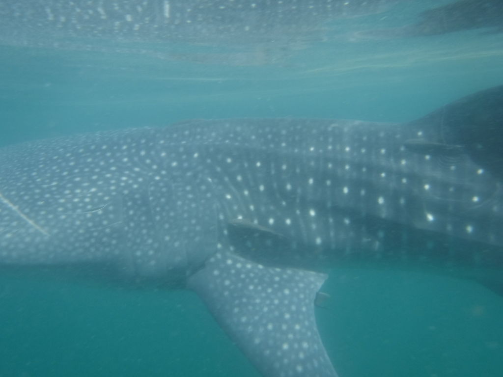 3663ca77-e8f4-474a-9eb7-53e463470678