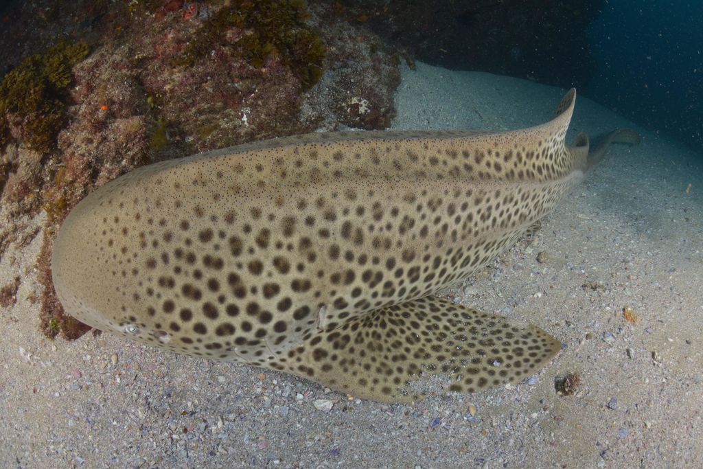 9e2c11ee-d277-4c97-bc47-24c5f2593720