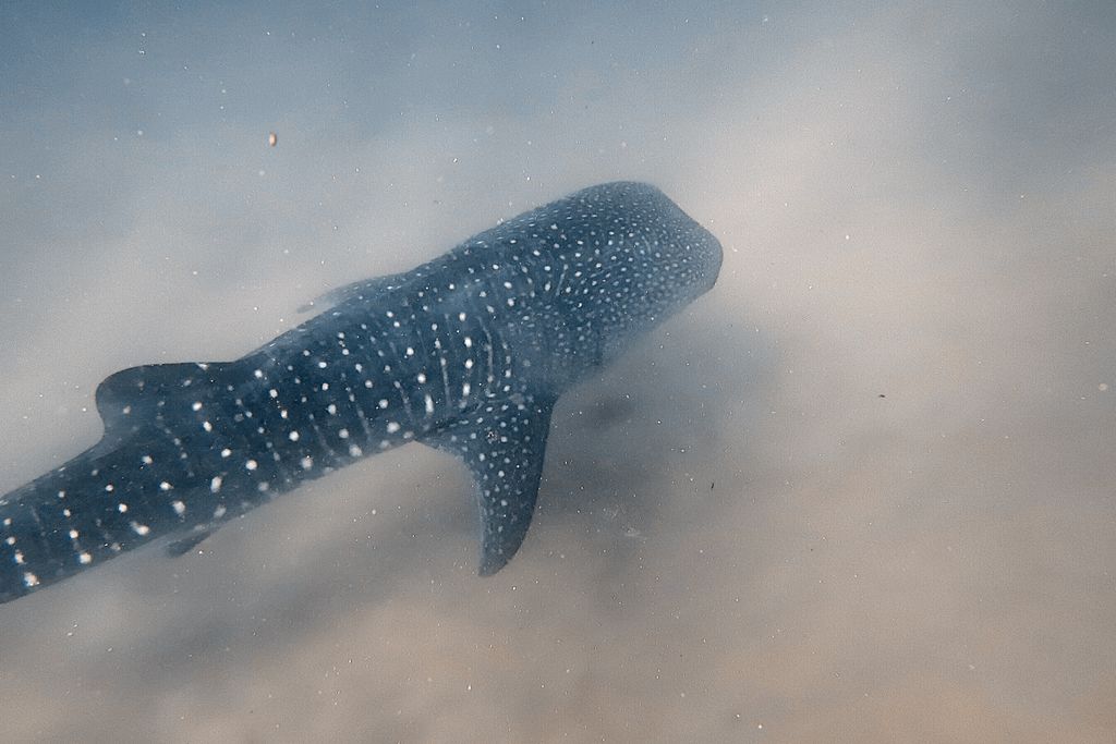 bdef321d-3689-4933-acfb-ba6364f851b2