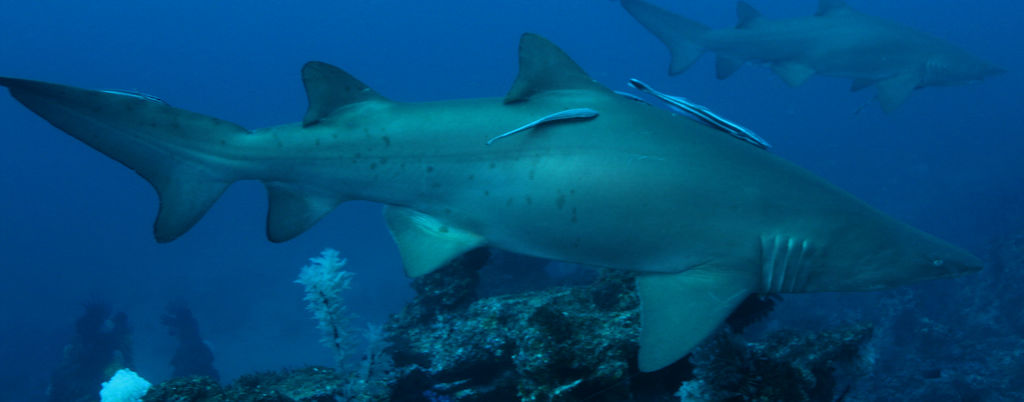 7d3fc65c-da5f-4322-9617-c5e837c91f95