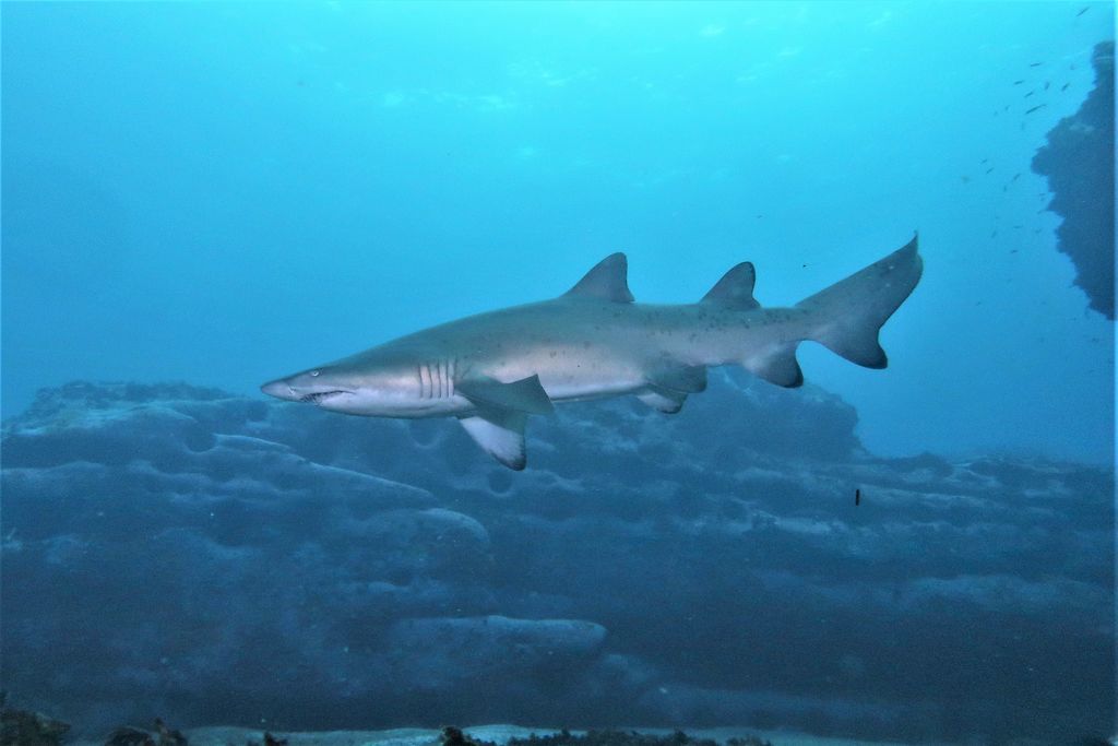 07b0ba96-5e7b-41cd-b957-cf7259ef9e76