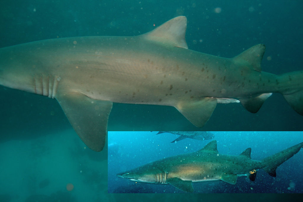 5f644484-36bb-4f36-945f-72d0d840d0d5