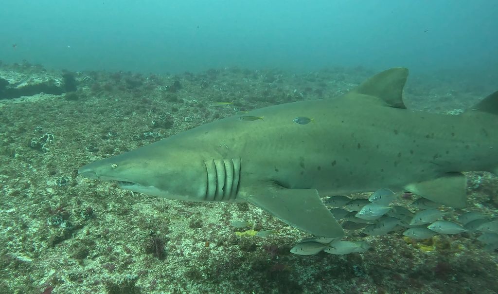 efd215b6-69fb-4d2a-b307-54d47c82d4ac