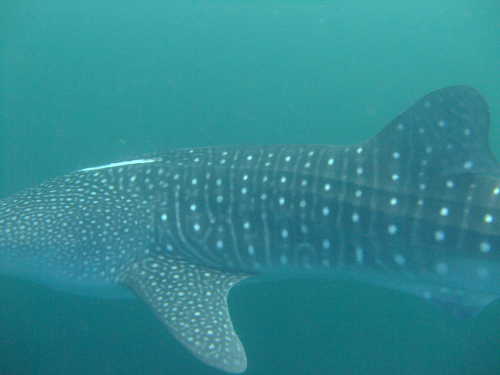 6abd67c6-0e58-4bd9-b215-6cb3759cb81e