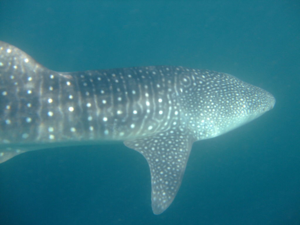 6abd67c6-0e58-4bd9-b215-6cb3759cb81e