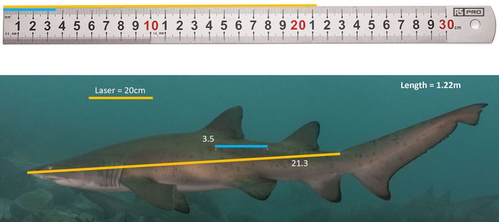 f794932c-58d1-4bfe-8d16-0ea38accaf8c